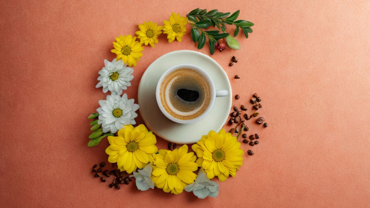 Jak zmienia się sposób parzenia kawy wiosną? Lekkie metody, które podbiją sezon 2026?